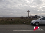 Screenshot_20221118_134002