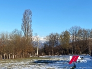 IMG-20250322-WA0014