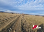 Vand teren intravilan agricol situat in Poplaca ,localizat in  zona industriala de la intrare in sat,cu suprafata de 3000mp/15ml